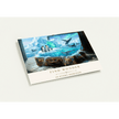 Find Wonder Greeting Card Set by Novelle & Co