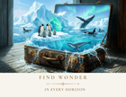 Find Wonder Greeting Card Set by Novelle & Co