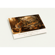 Wander Fearlessly Greeting Card Set by Novelle & Co